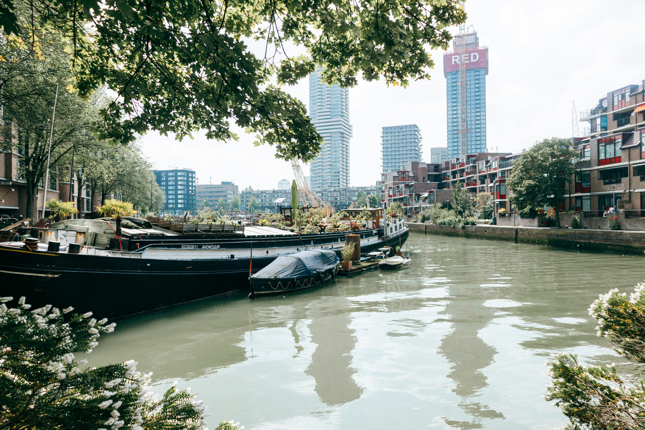Alter Rederijhaven in Rotterdam mit Hafenbecken und Skyline