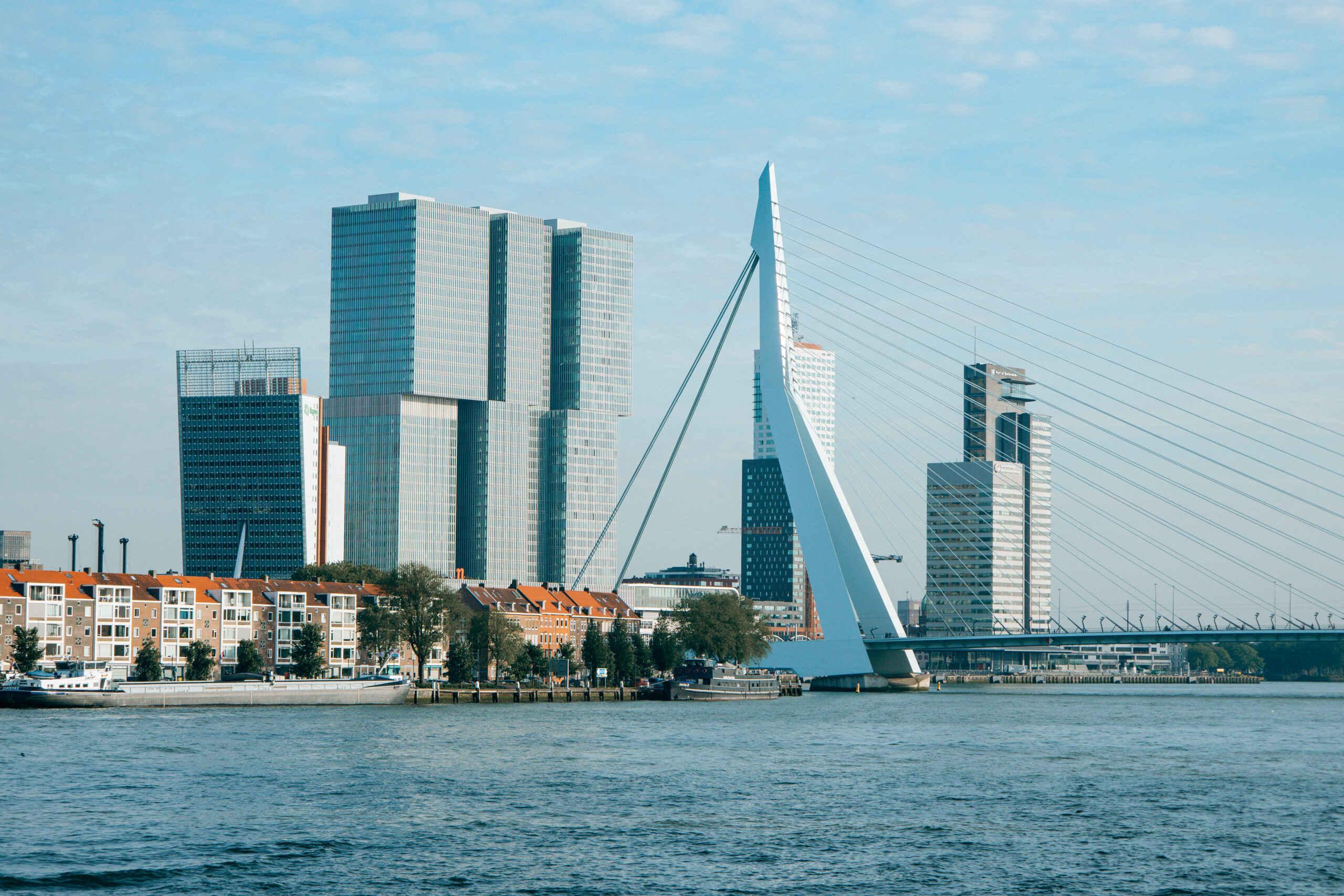Erasmusbrücke mit Skyline von Rotterdam an der Maas