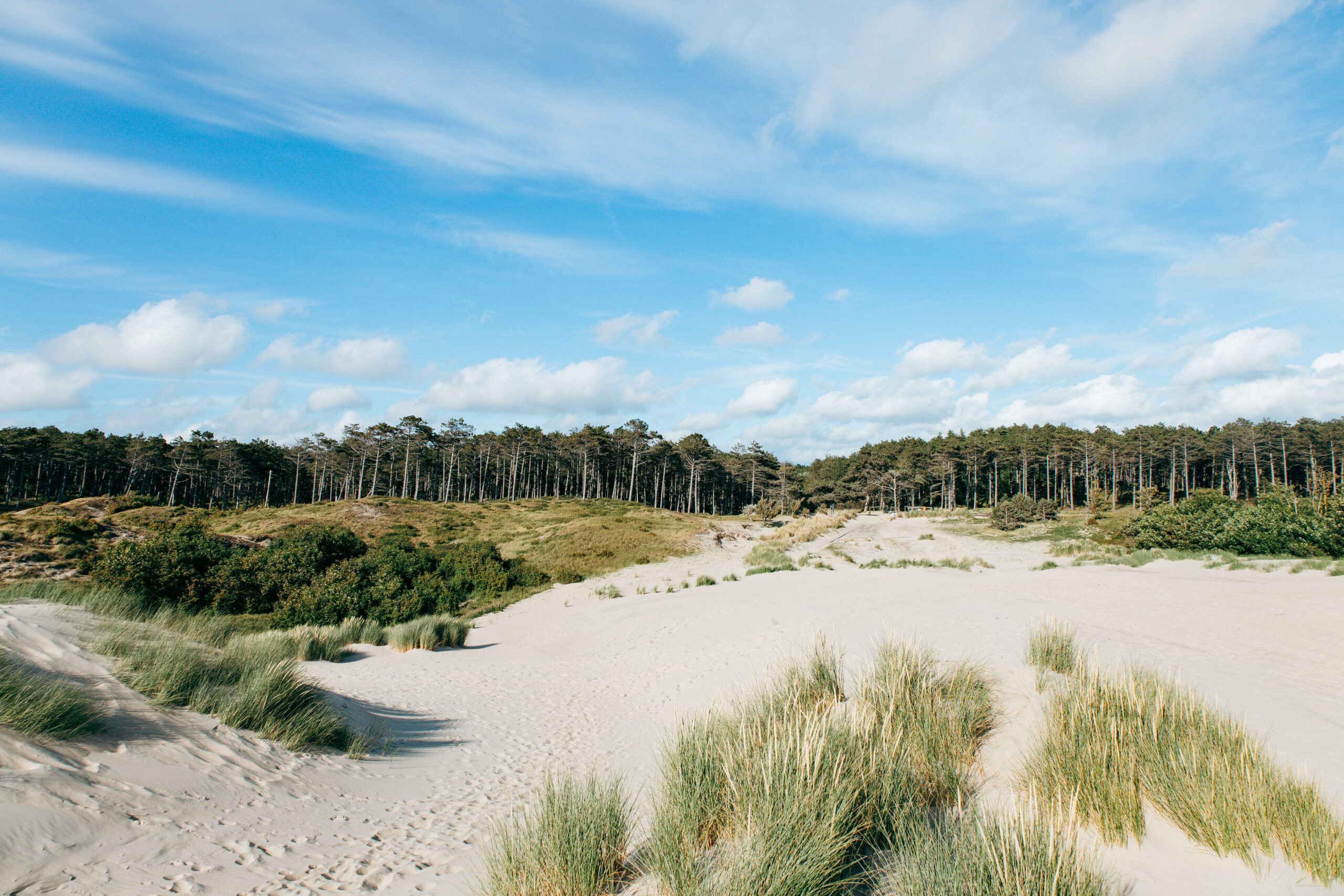 Weite Dünenlandschaft im Burgh-Haamstede Bos in Zeeland
