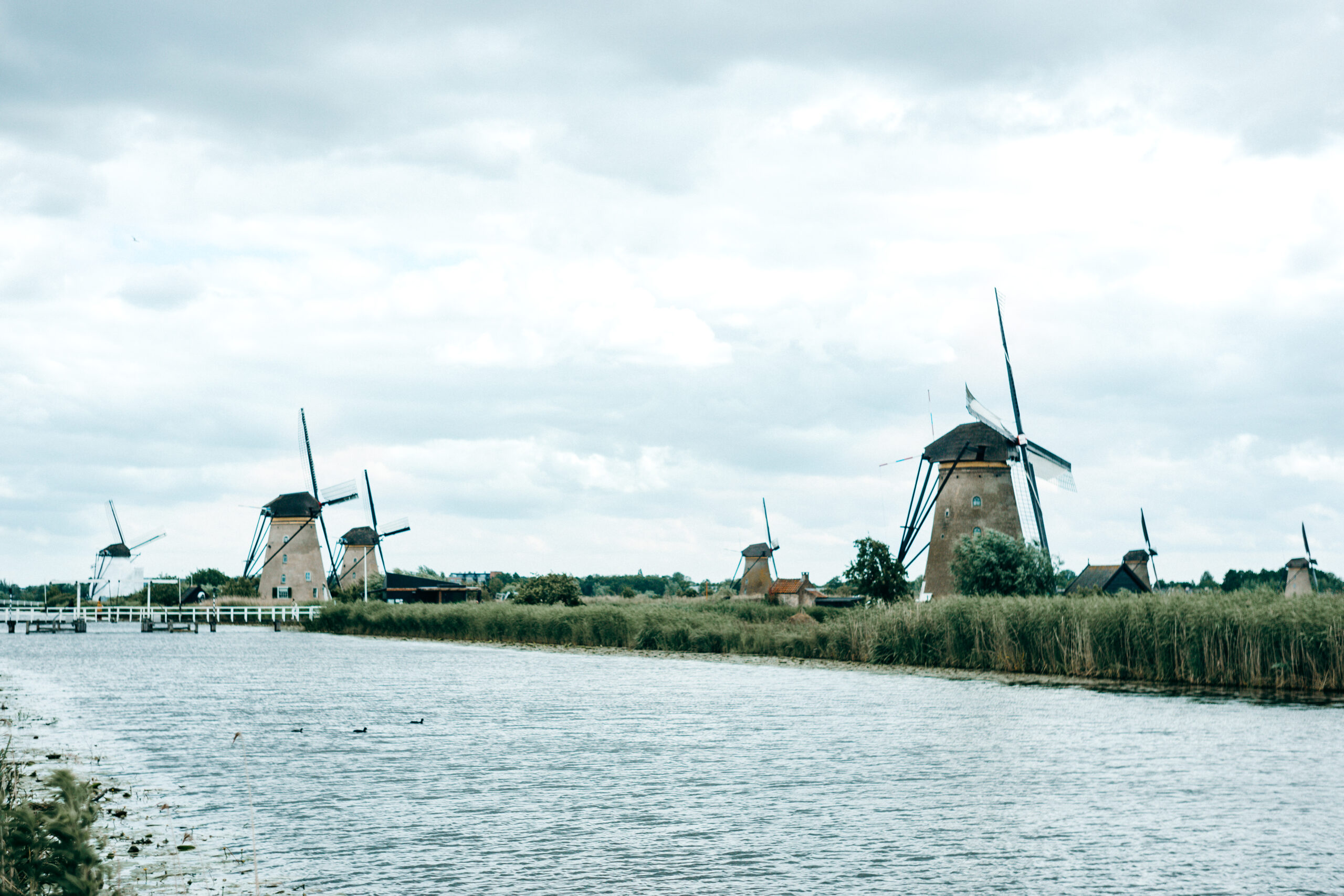 Panorama der Windmühlen von Kinderdijk am Wasser