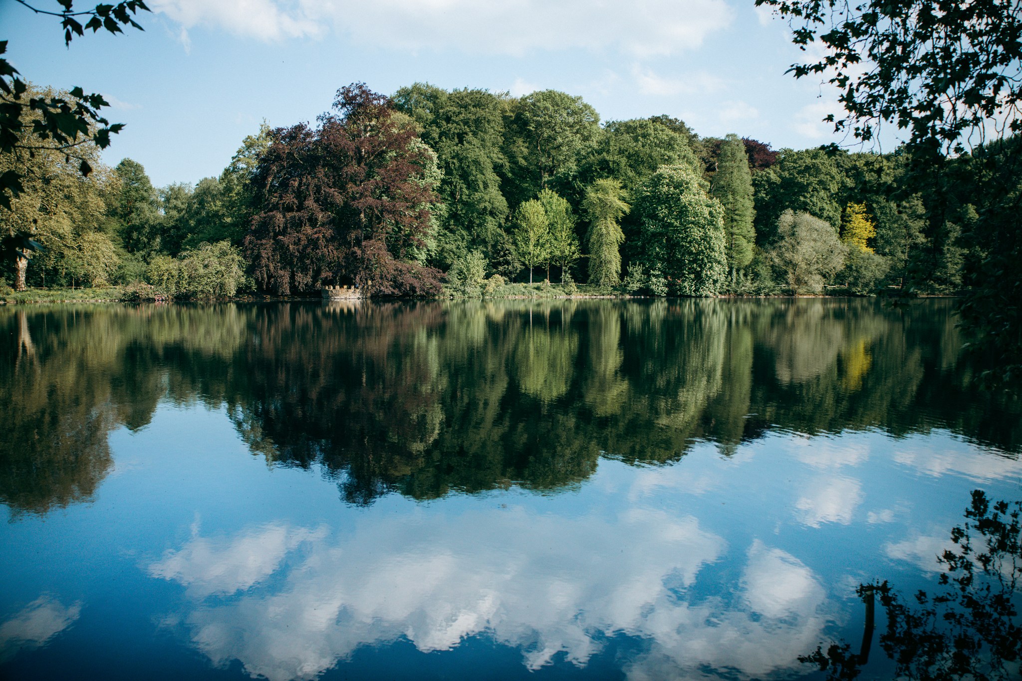 Bäume und Wolken spiegeln sich im ruhigen Wasser des Sees im Rombergpark